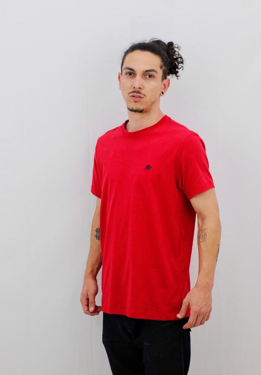 Camiseta Aeropostale Masculina