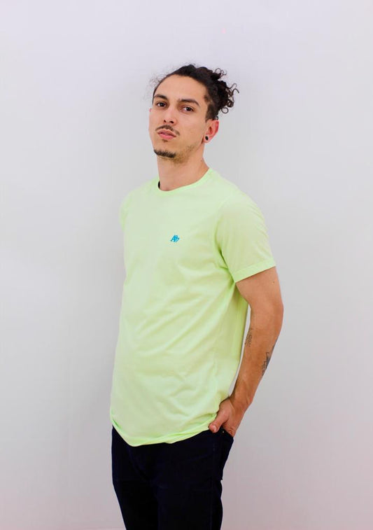 Camiseta Aeropostale Masculina