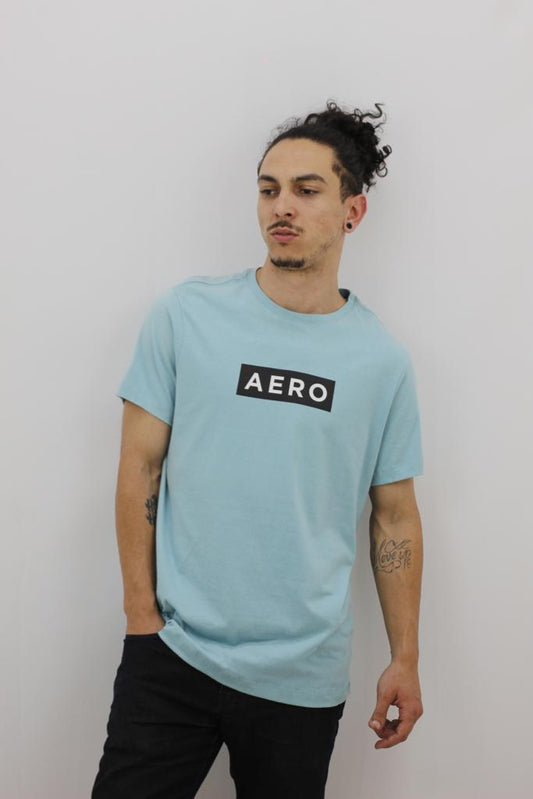 Camiseta Aeropostale  Masculina